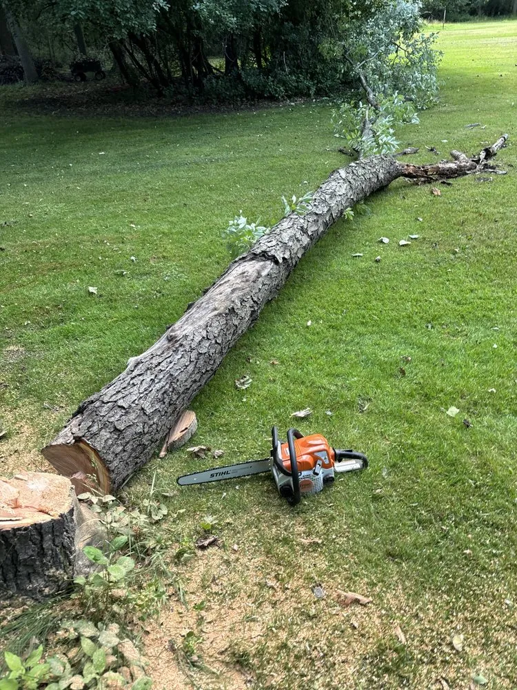 Slide of Chase does it all