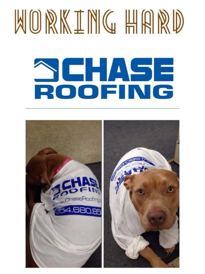 Slide of Chase Roofing