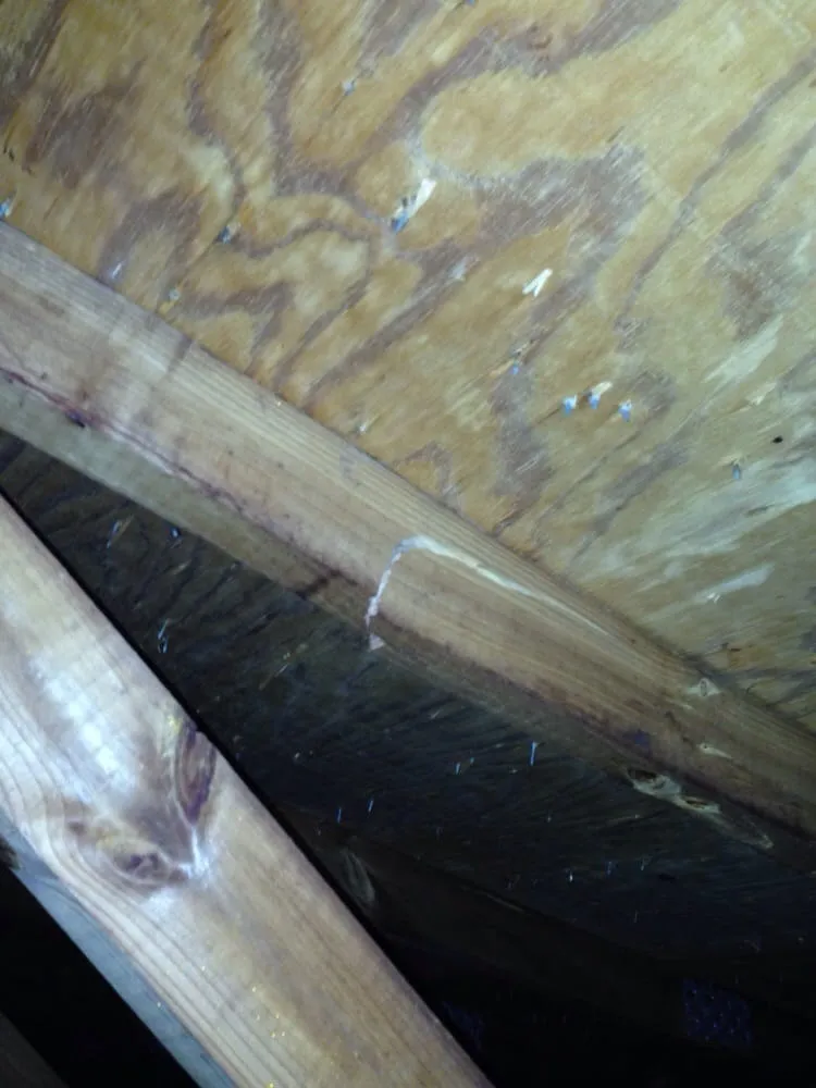 Top-rated flat roof repair experts serving Yorktown, VA - Chase Roofing