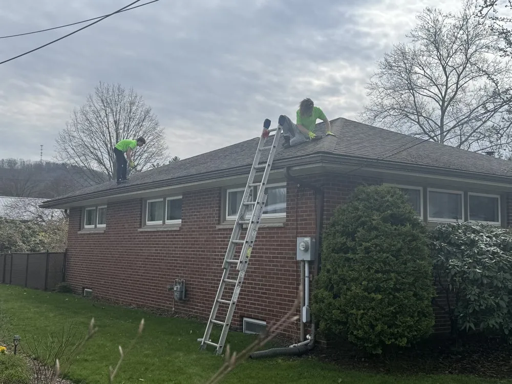 Slide of Chautauqua Moss removal