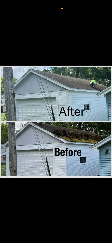 Slide of Chautauqua Moss removal
