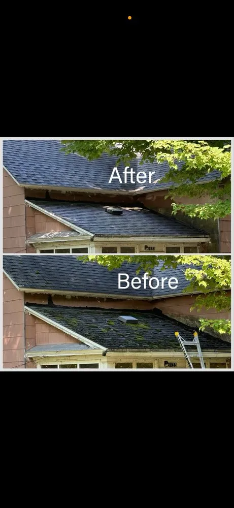 Slide of Chautauqua Moss removal