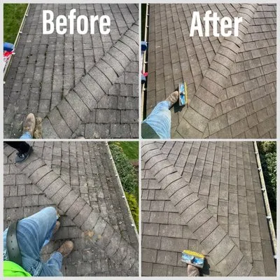 Chautauqua Moss removal