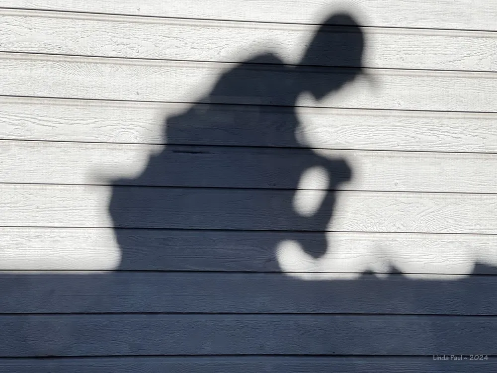 Slide of Chavez Roofing and Construction