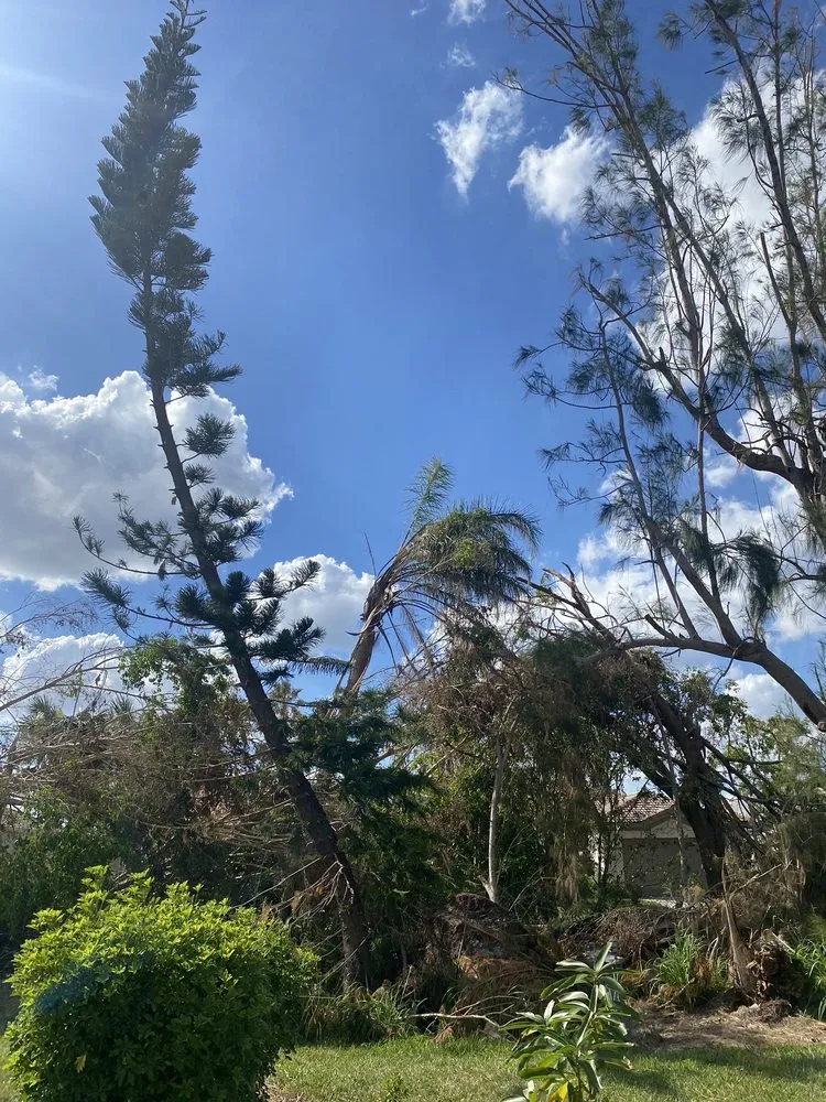 Slide of CHDO by Sunrise City