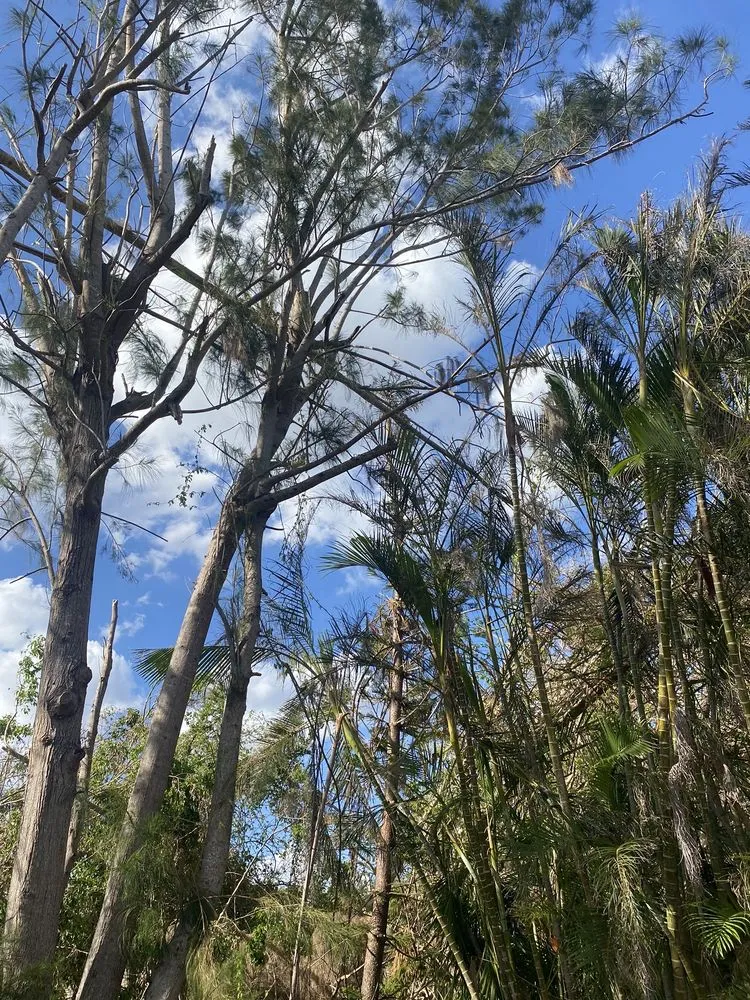 Slide of CHDO by Sunrise City