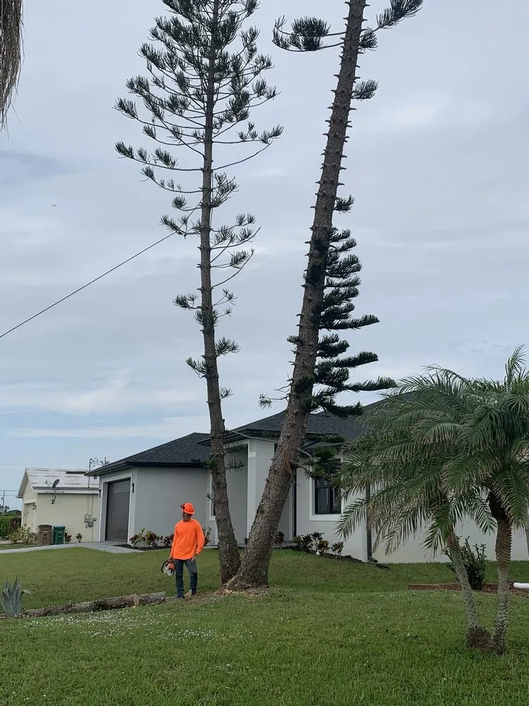 Slide of CHDO by Sunrise City