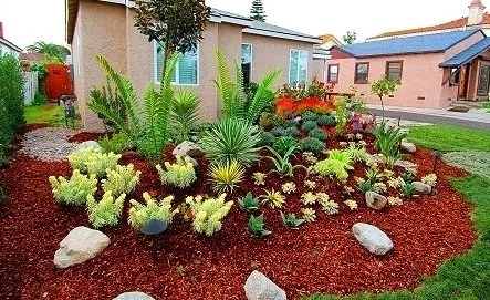 Slide of CHDO by Sunrise City