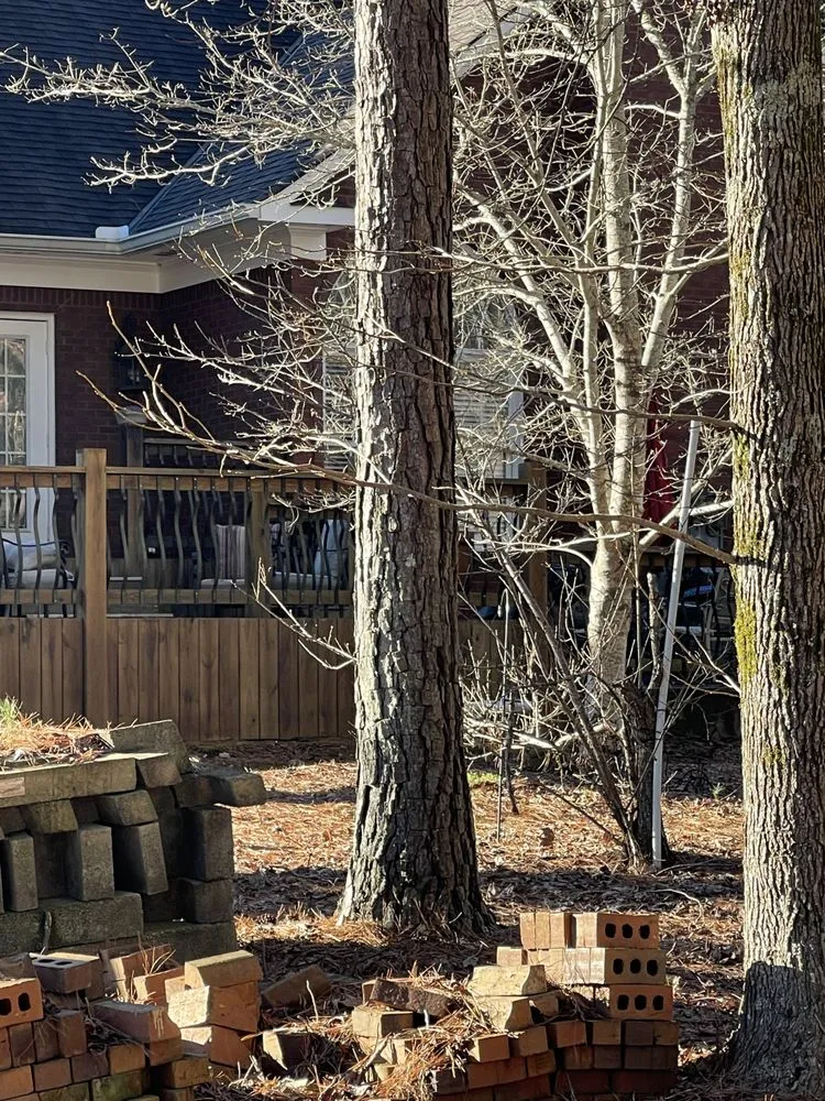 Slide of CHDO by Sunrise City