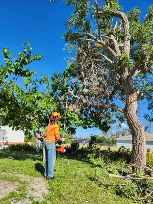 CHDO by Sunrise City