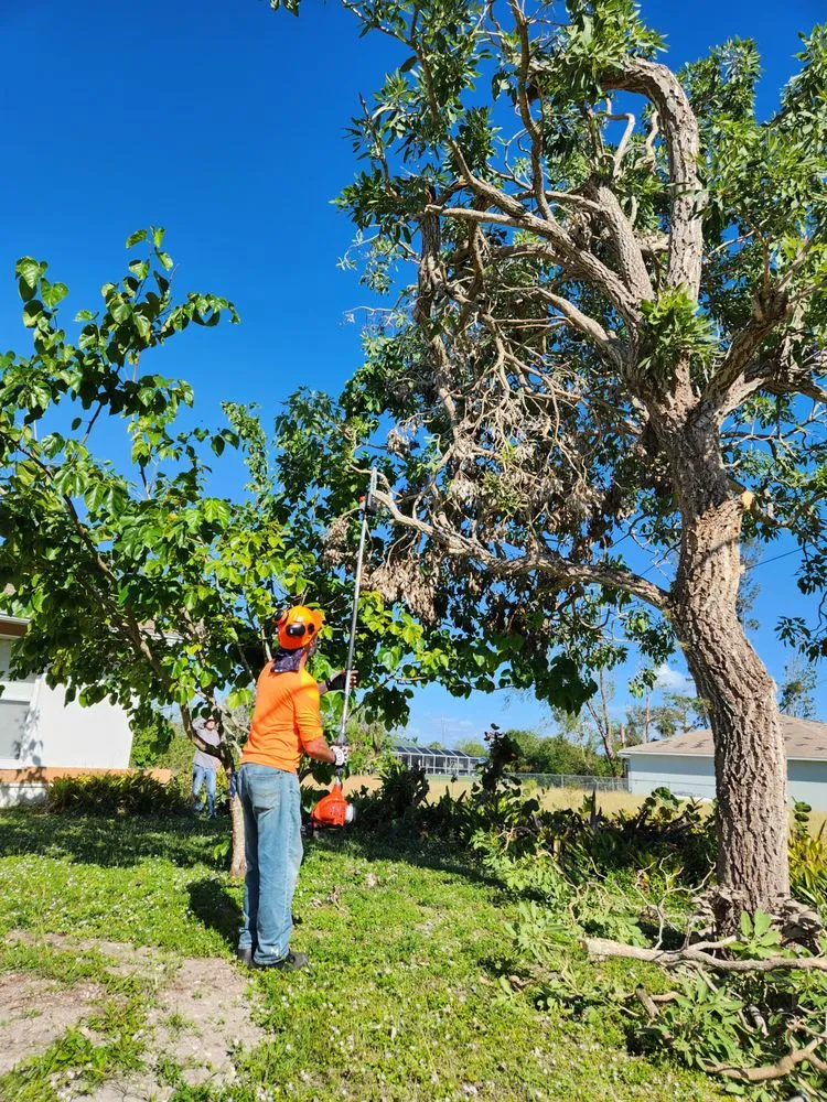 Slide of CHDO by Sunrise City