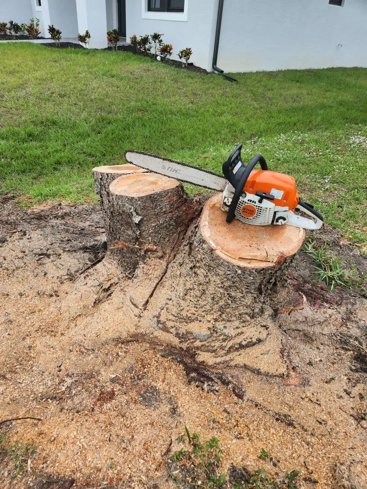 Slide of CHDO by Sunrise City