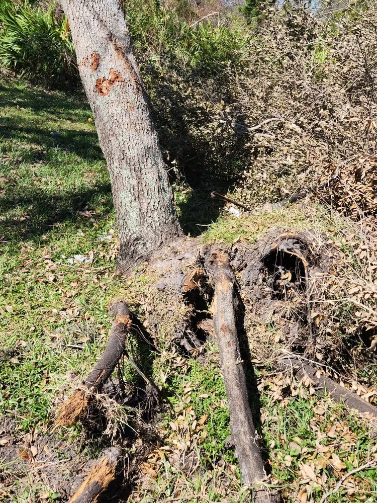 Slide of CHDO by Sunrise City