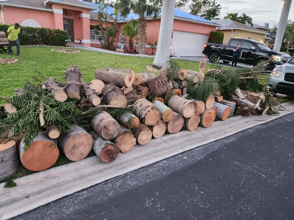 Slide of CHDO by Sunrise City