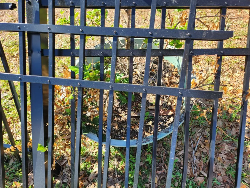 Slide of CHDO by Sunrise City