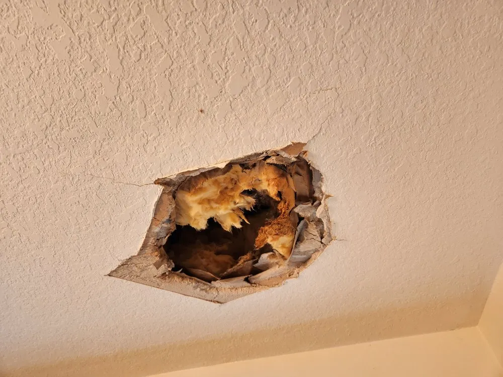 Slide of CHDO by Sunrise City