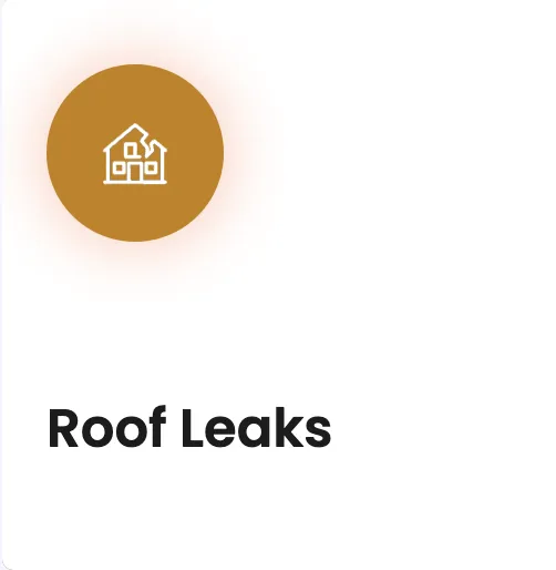 Slide of Chelle Roofing