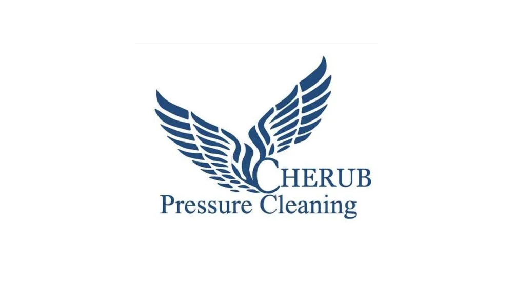 Slide of Cherub Pressure Cleaning
