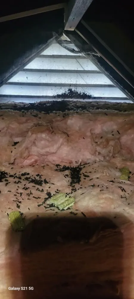 Slide of Chesapeake Home Solution