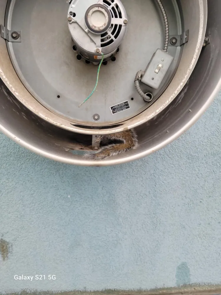 Slide of Chesapeake Home Solution