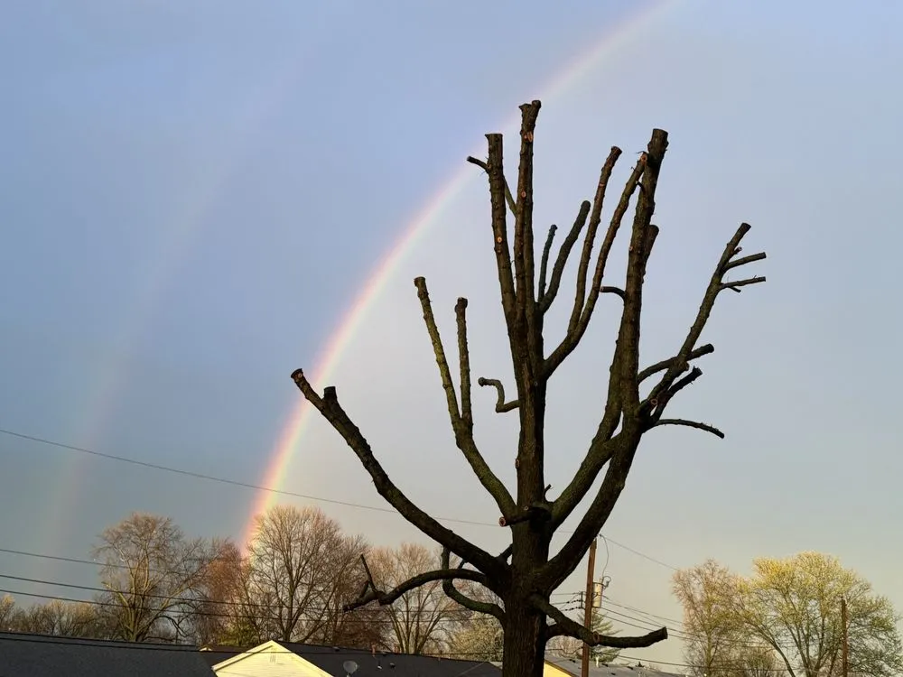 Slide of Chesterfield Valley Roofing & Exteriors