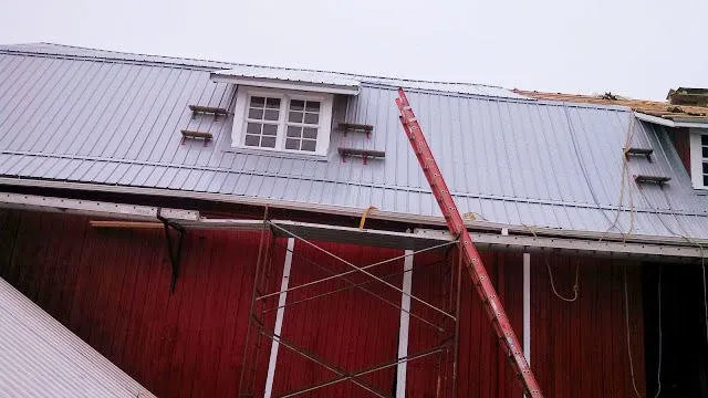 Emergency roof leak repair in Baileys Harbor, WI - Chewy & Teo Roofing