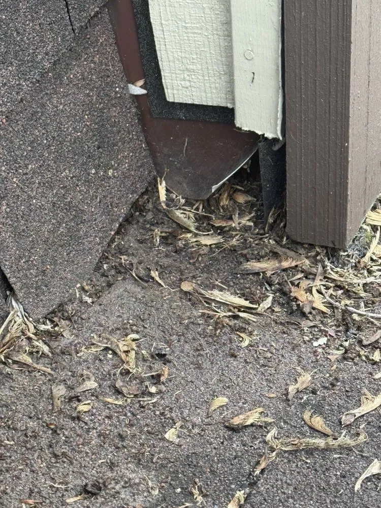 Slide of Chicago Grace Construction