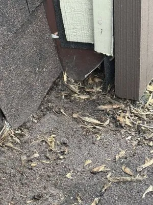 Chicago Grace Construction Logo