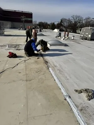 Chicago Roof Extenders