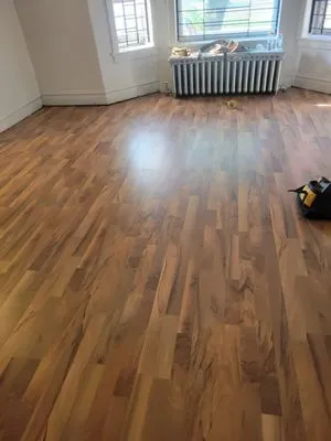 Chicago Solutions Roof Logo