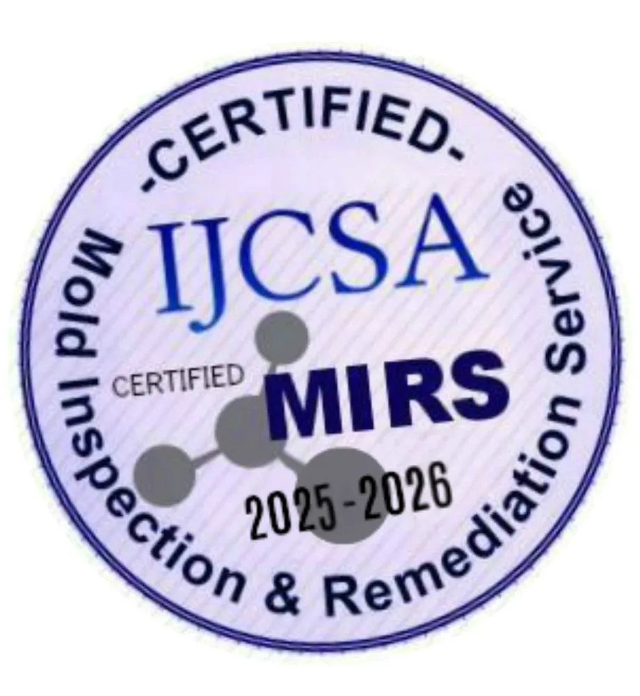 Slide of Chicago TidyFixers