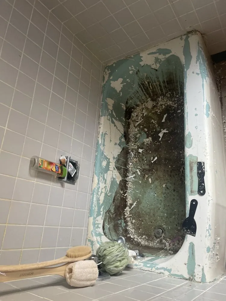 Slide of Chicago TidyFixers