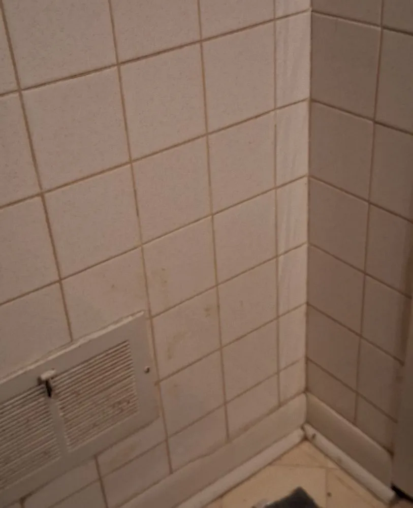 Slide of Chicago TidyFixers