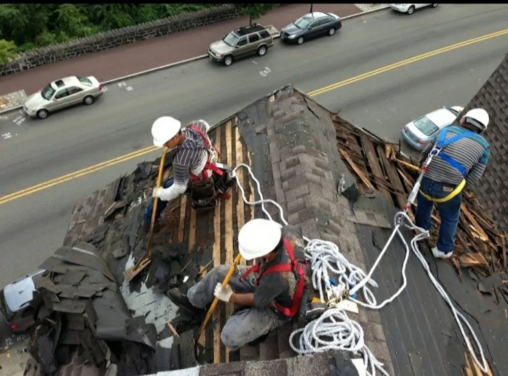 Slide of Chicago's Finest Roofing