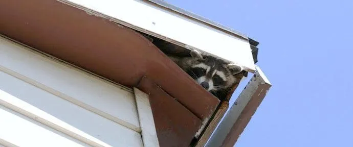 Slide of Chimneys and More