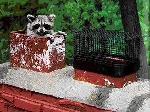 Slide of Chimneys and More