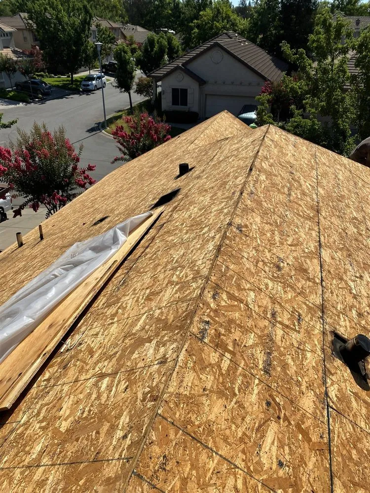 Slide of Chingon's Tear Off