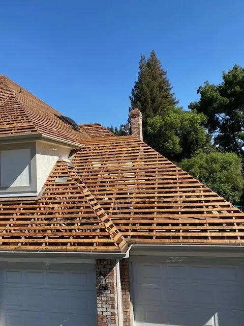 Slide of Chingon's Tear Off