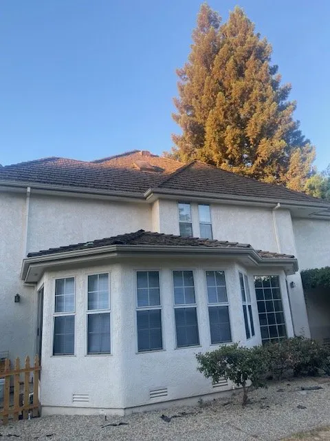 Slide of Chingon's Tear Off