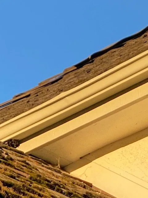 Slide of Chingon's Tear Off