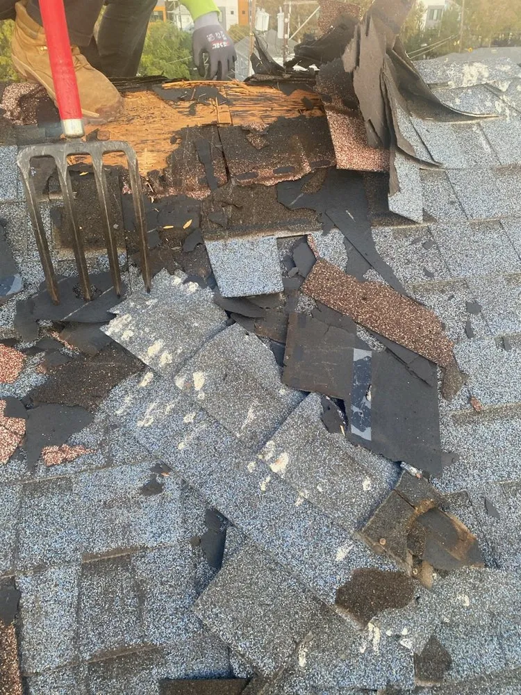 Slide of Chingon's Tear Off