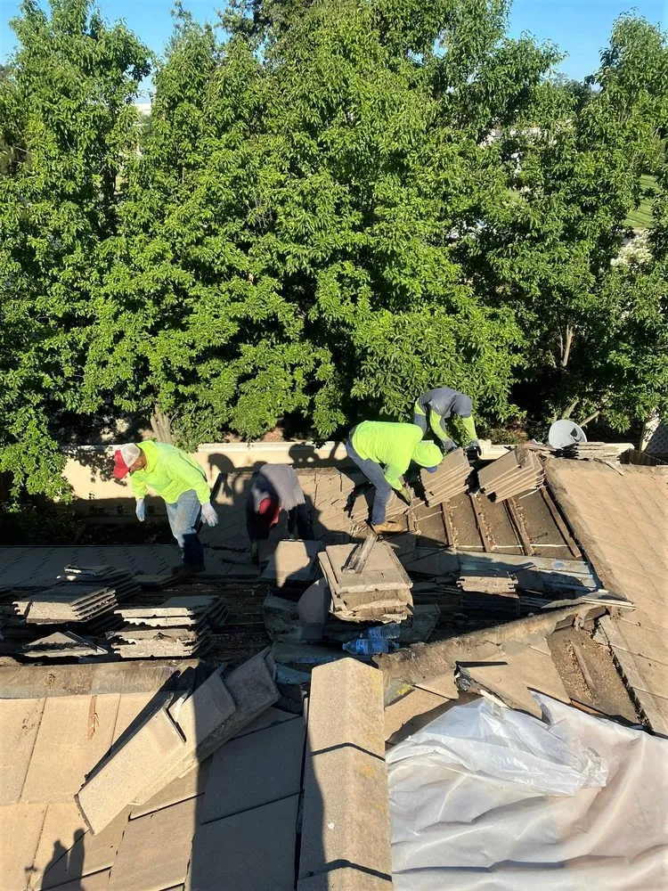 Slide of Chingon's Tear Off