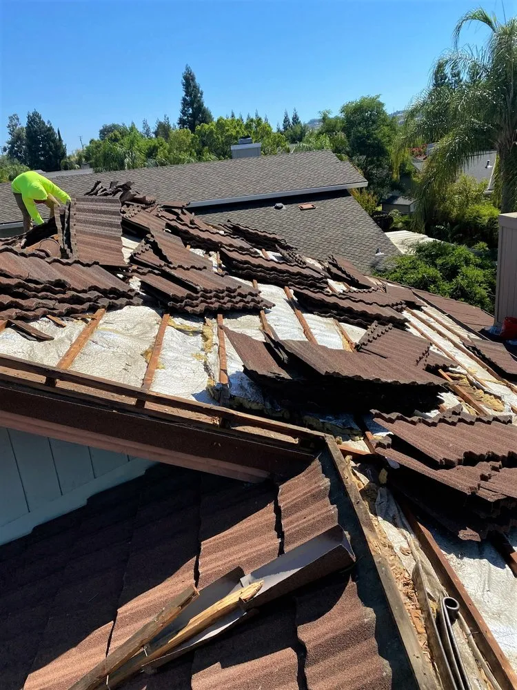 Slide of Chingon's Tear Off