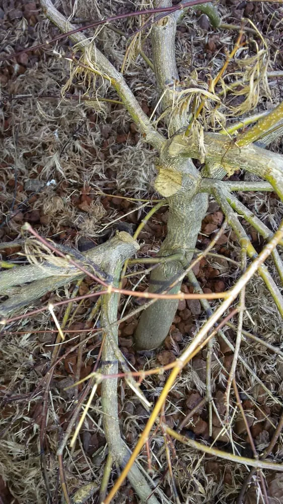 Slide of Chinook Roofing & Gutters