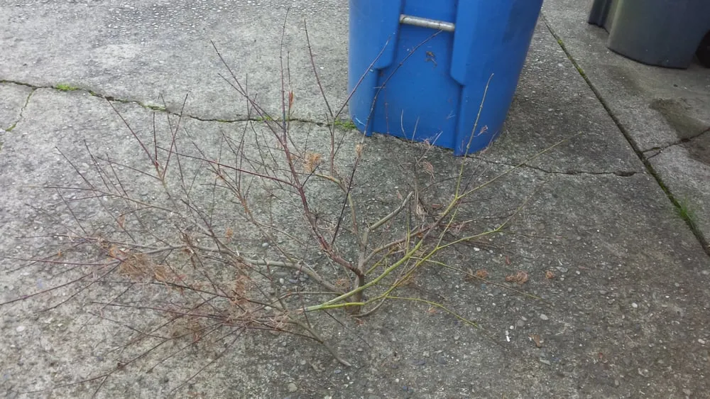 Slide of Chinook Roofing & Gutters