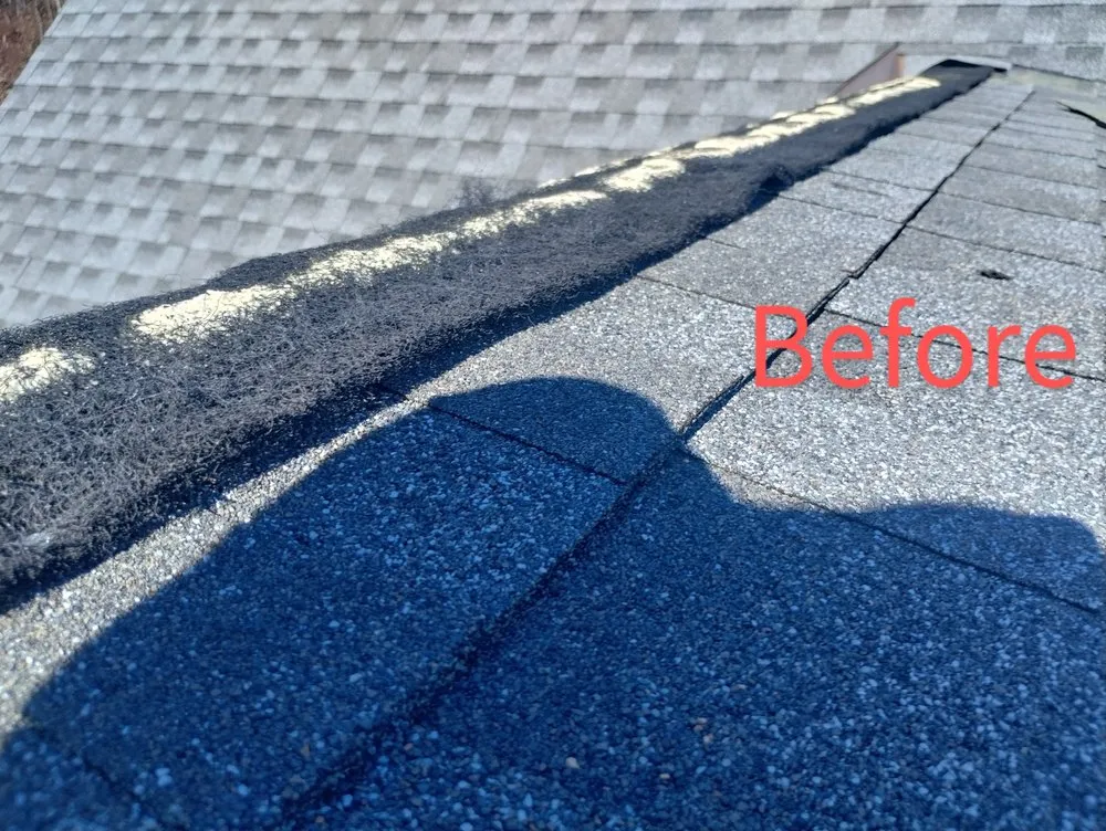 Slide of Chinos Roof Repair