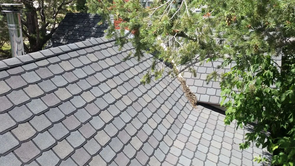 Slide of Chips Roofing and Exteriors