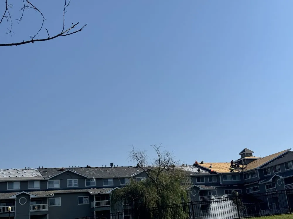 Slide of Chosen Legacy Restoration