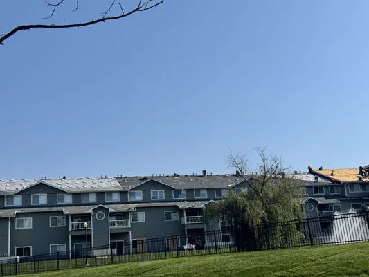 Chosen Legacy Restoration Logo