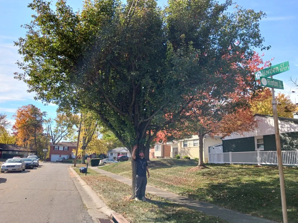 Slide of Chriss Lawn and Home Maintenance